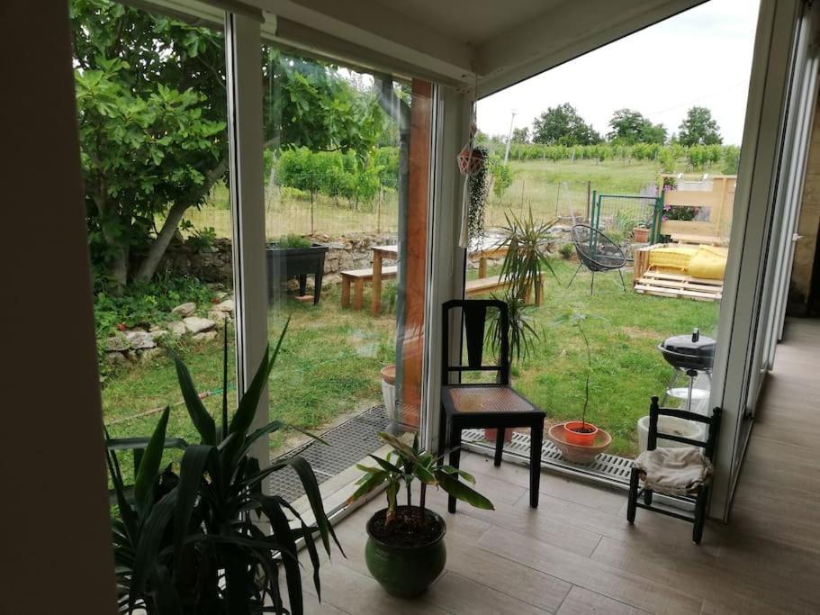 Gite L'Edenwine Doulezon Экстерьер фото